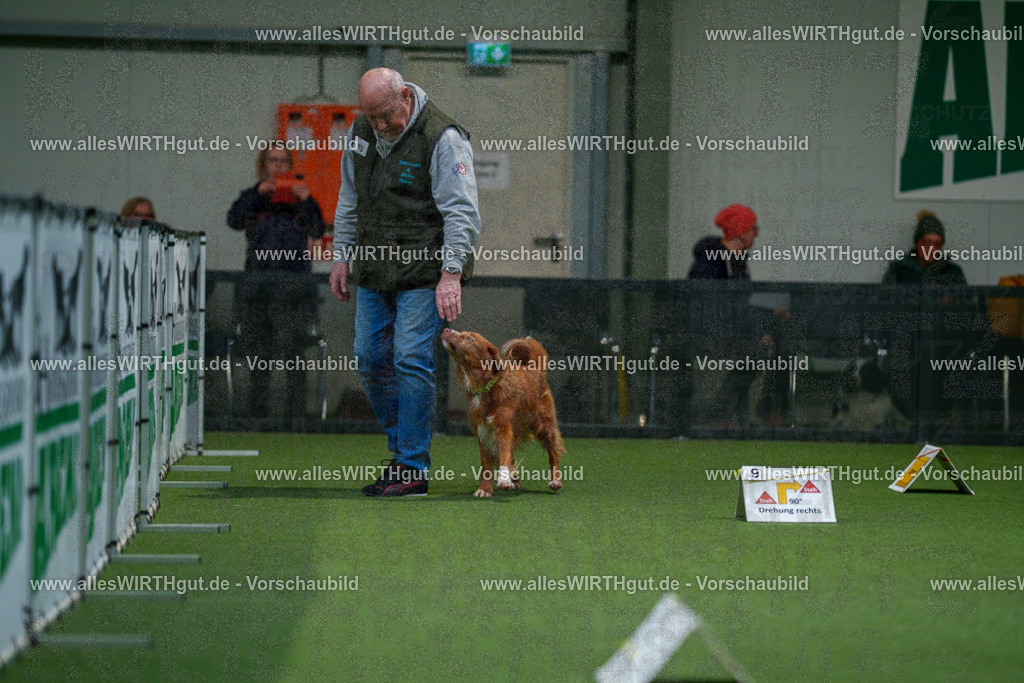 7R504324 | Professionelle Tierfotografie in Mönchengladbach von Daniel Wirth (allesWIRTHgut). Liebevolle & natürliche Bilder von Hunden & Katzen für unvergessliche Erinnerungen.