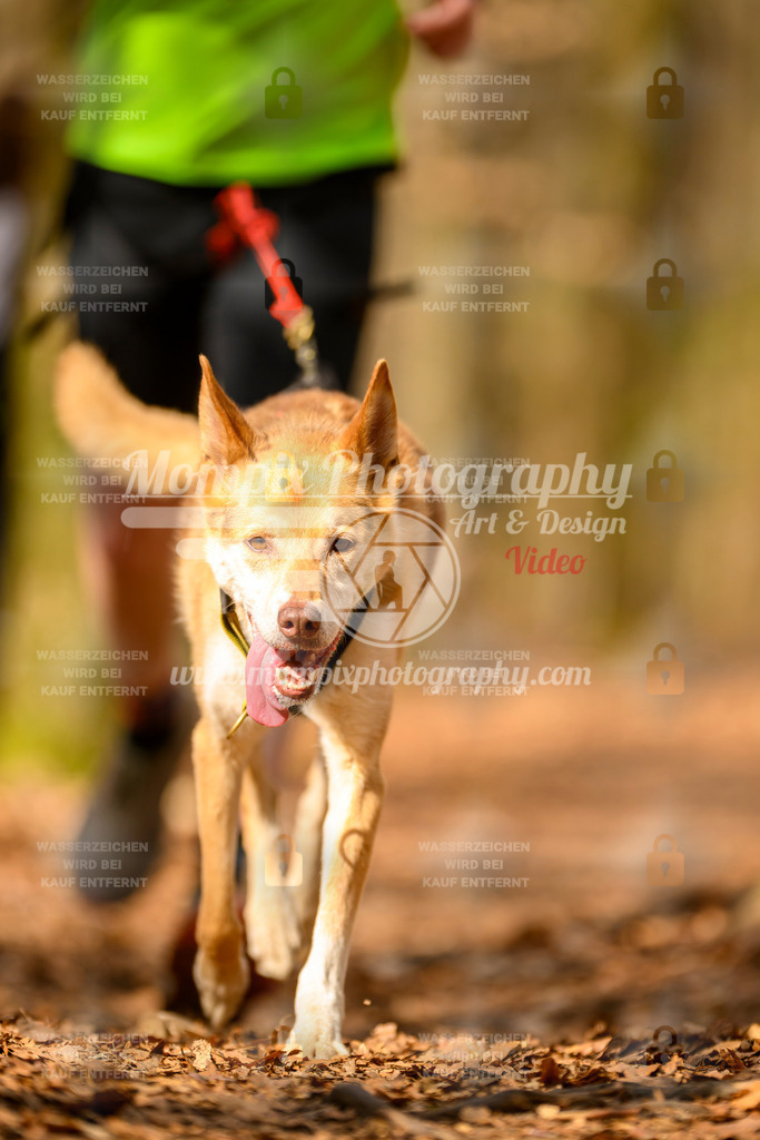MompixPhotography_Habay2025_SA_CCC-106 | PayLife