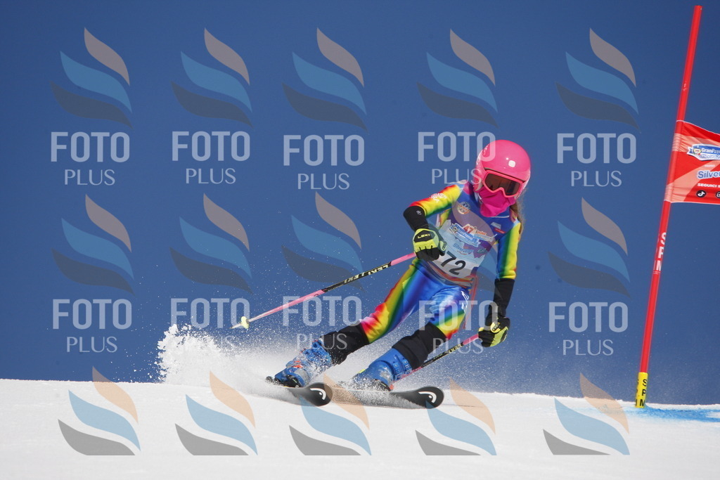 _W1G1059 | holidayphoto