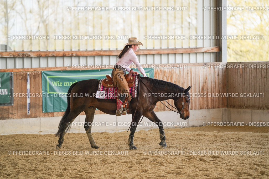 DSC06877 | Pferdegrafie