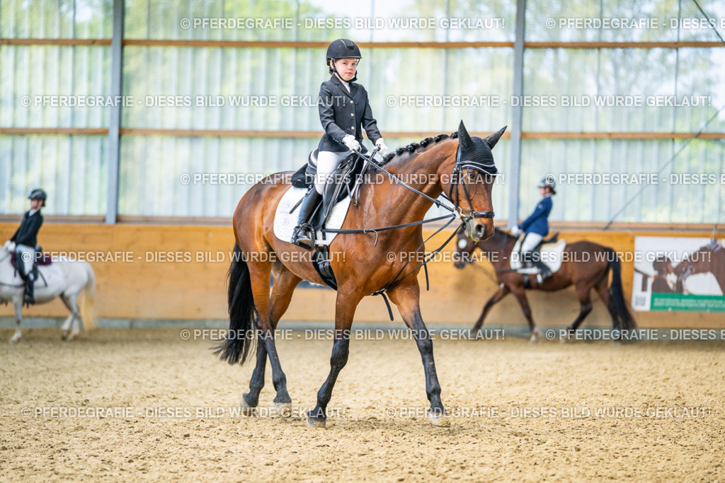 DSC02671 | Pferdegrafie