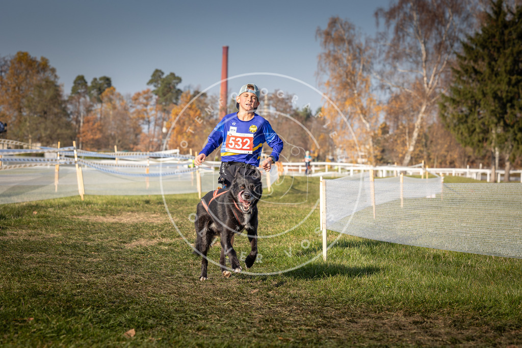 CaniXpix_0L8A8804 | Hundefotografie, Tierfotograf, Pfotenfotografie, Fotoshooting Hund, Hunde Portrait, Hundesport, Hundeportraits, Heideshooting, Hunde, Sportfotograf, Hundefotograf, Turnierhundsport, THS,  - Realisiert mit Pictrs.com