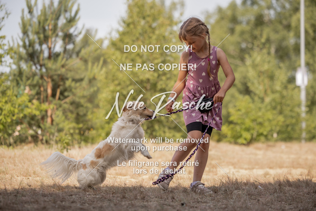 nelerasche_soDD2_276 | nelerasche