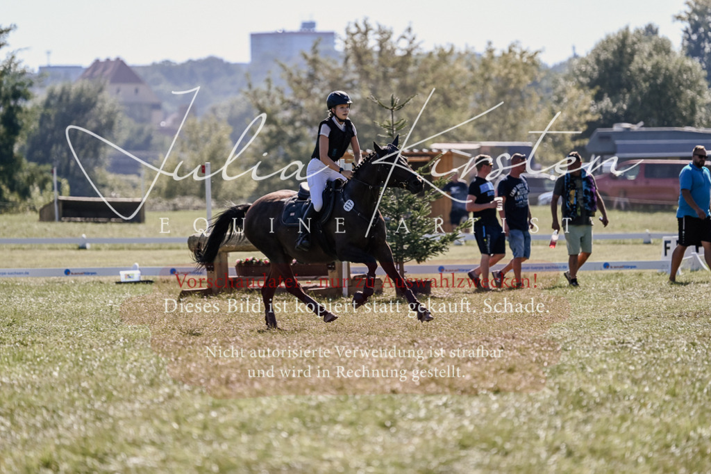 DSC_3269 | Pferde- und Turnierfotografie in Westsachsen. Pferdeportraits, Auftragszeichnungen und intuitive Kunst.