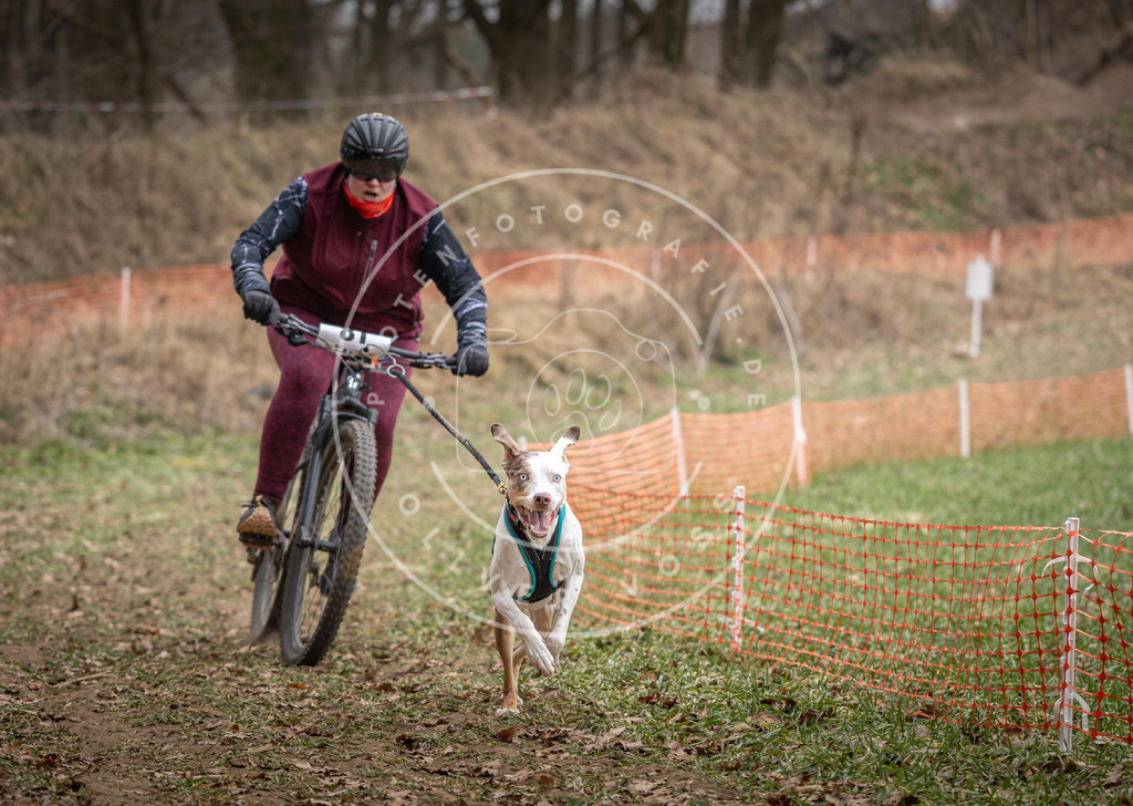 Pfotenfotografie_DV3A5574 | Hundefotografie, Tierfotograf, Pfotenfotografie, Fotoshooting Hund, Hunde Portrait, Hundesport, Hundeportraits, Heideshooting, Hunde, Sportfotograf, Hundefotograf, Turnierhundsport, THS,  - Realisiert mit Pictrs.com