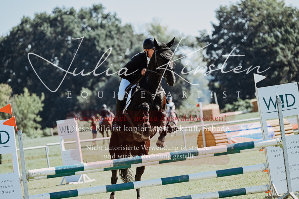 DSC_5725 | Pferde- und Turnierfotografie in Westsachsen. Pferdeportraits, Auftragszeichnungen und intuitive Kunst.