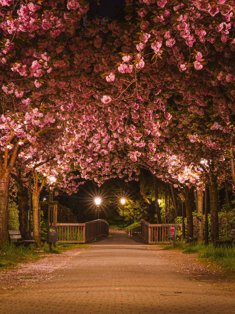 Eulenspiegeltwete | Entdecke exklusive Fotokunst aus Braunschweig: Bildband, Leinwände, Postkarten, Kalender, digitale Downloads & Bildlizenzen. Jetzt im offiziellen Beautiful Braunschweig Shop! - Realisiert mit Pictrs.com