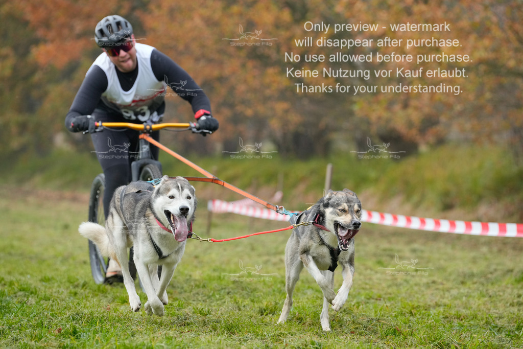 Visbeck_Sa_DS2DR2-12 | stephaniefillaphotographie - Realisiert mit Pictrs.com