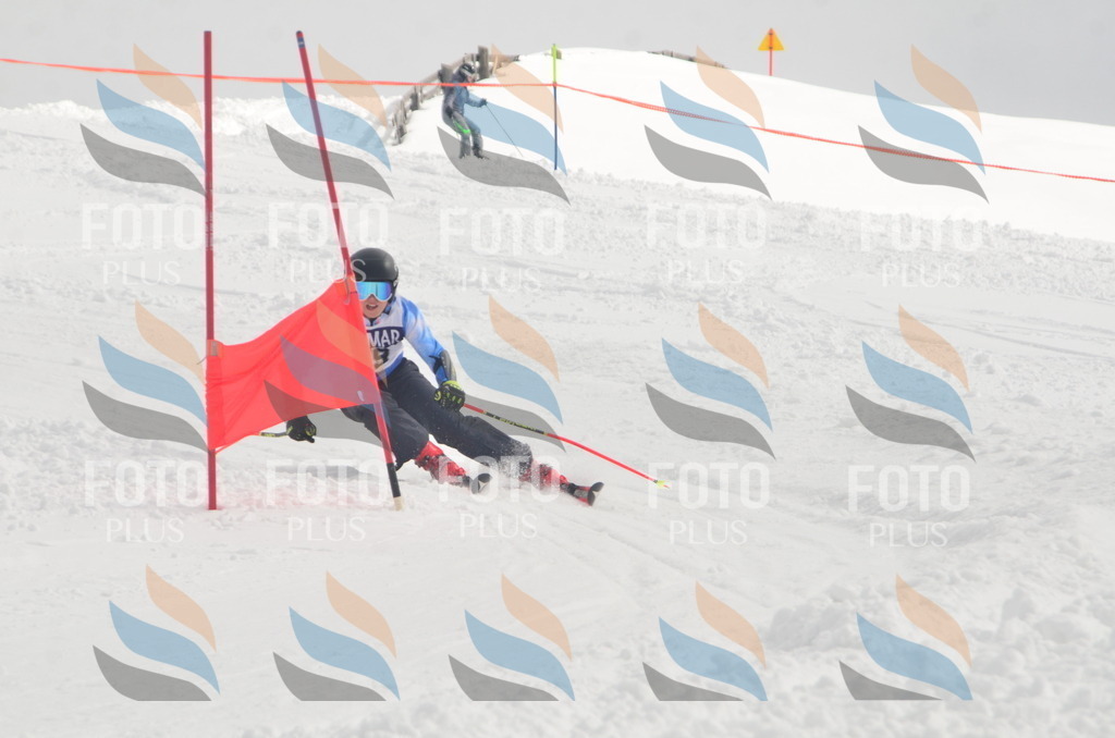 A5657 | holidayphoto