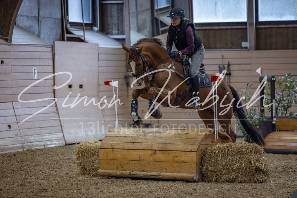 20260221-_3LI8837 | Tierfotografie Pferde, Hunde, Katzen, Haustiere.
Turnierfotografie Reitturniere, Reiten, Springreiten, Dressur in Hanau, dem Main-Kinzig-Kreis und dem Rhein-Main- Gebiet um Frankfurt