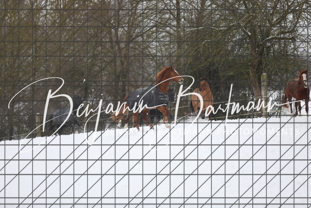 AZ2A3330 | Benjamin Bartmann Photomoments