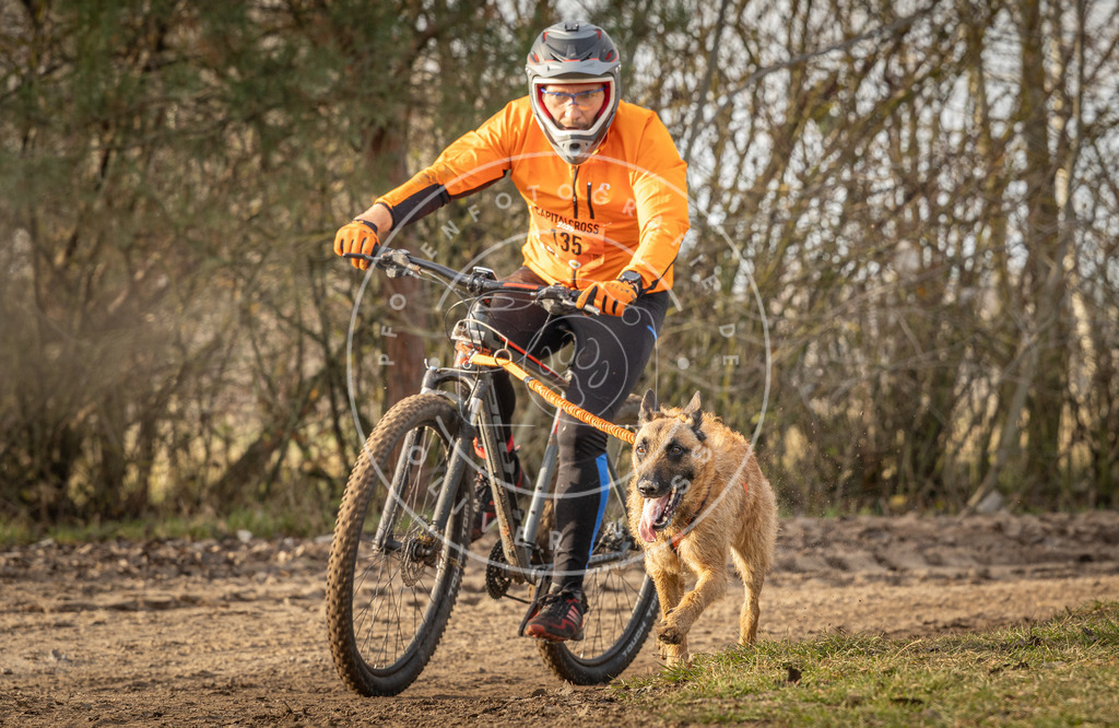Pfotenfotografie_DV3A8656 | Hundefotografie, Tierfotograf, Pfotenfotografie, Fotoshooting Hund, Hunde Portrait, Hundesport, Hundeportraits, Heideshooting, Hunde, Sportfotograf, Hundefotograf, Turnierhundsport, THS,  - Realisiert mit Pictrs.com