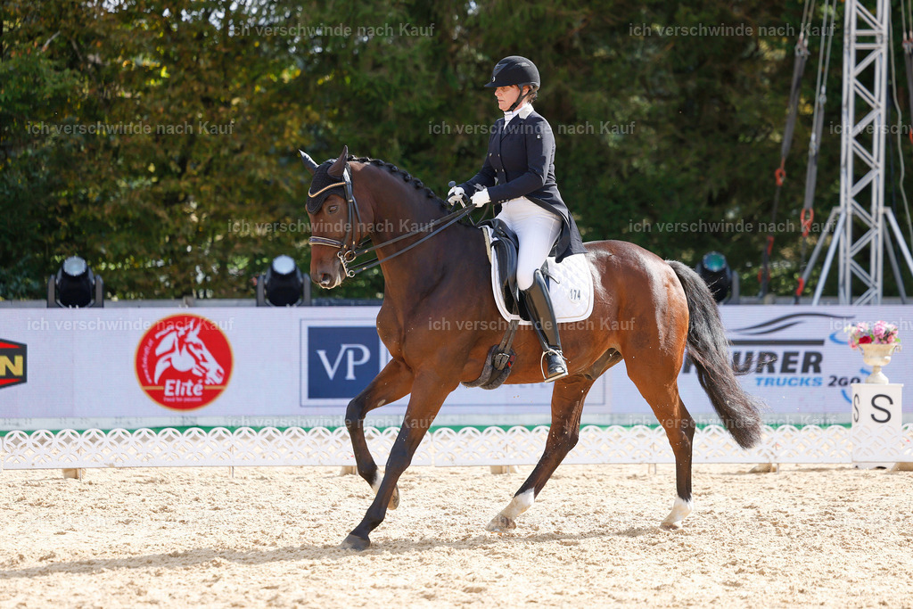 09_2-174-DRESSUR  S_  -StoibPH-5779 | working equitationturnier fotograf videograf stoibphotography marixx film working equitation deutschland reitsport turnierfotografie eventfotografie equestrian events