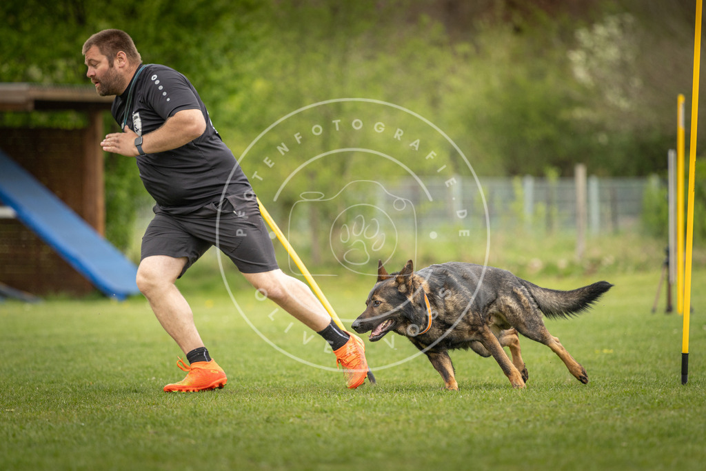 Pfotenfotografie_DV3A9904 | Hundefotografie, Tierfotograf, Pfotenfotografie, Fotoshooting Hund, Hunde Portrait, Hundesport, Hundeportraits, Heideshooting, Hunde, Sportfotograf, Hundefotograf, Turnierhundsport, THS,  - Realisiert mit Pictrs.com