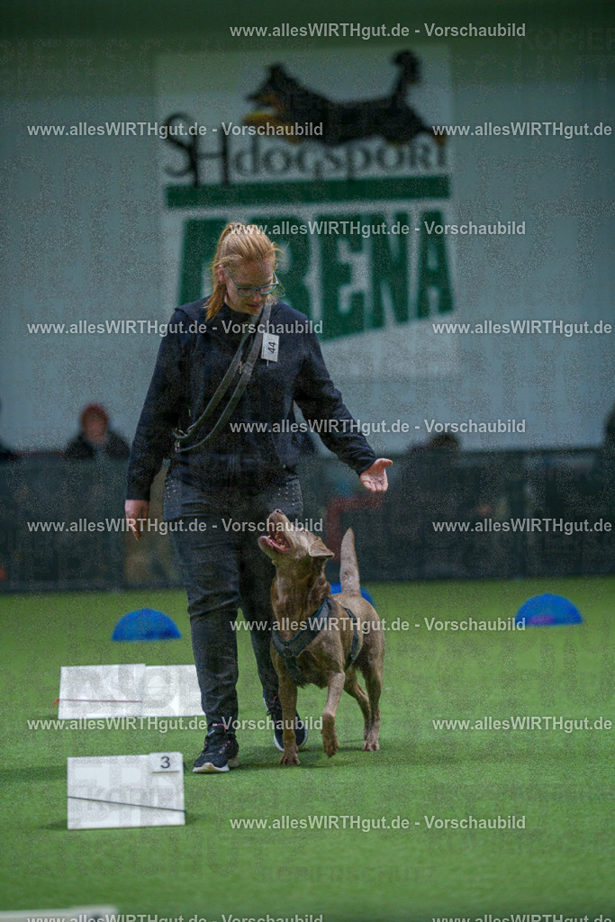 7R501286 | Professionelle Tierfotografie in Mönchengladbach von Daniel Wirth (allesWIRTHgut). Liebevolle & natürliche Bilder von Hunden & Katzen für unvergessliche Erinnerungen.