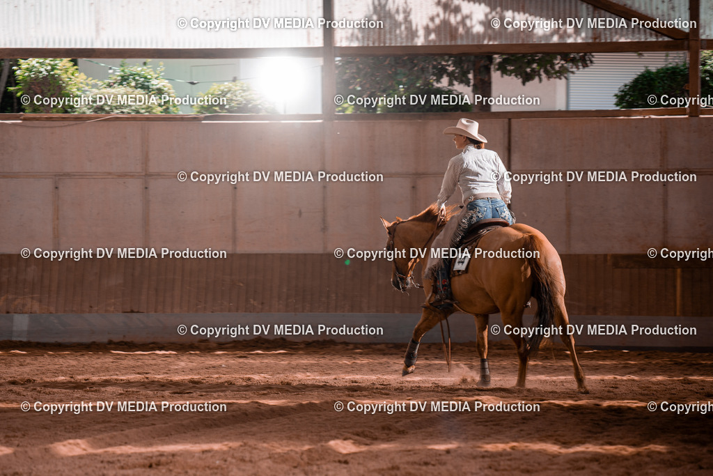 NE100769 | dv-media-shop - Realisiert mit Pictrs.com