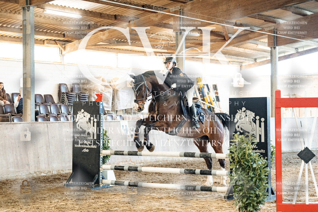 CK904424 | Turnierfotografie Pferdefotografie Trier Rheinland-Pfalz Pferdesport Reitsport Tierfotografie Sportfotografie Pferdevideo Pferdevideografie Equestrianvideography equestrianphotography  - Realisiert mit Pictrs.com