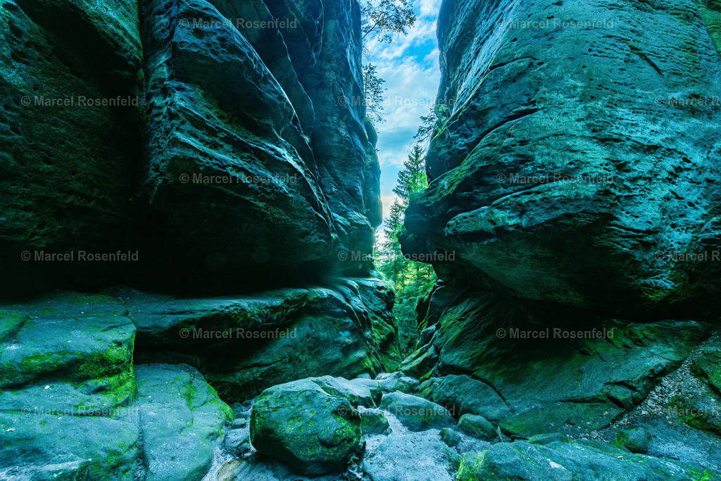 _DSC7378 | foto-rosenfeld