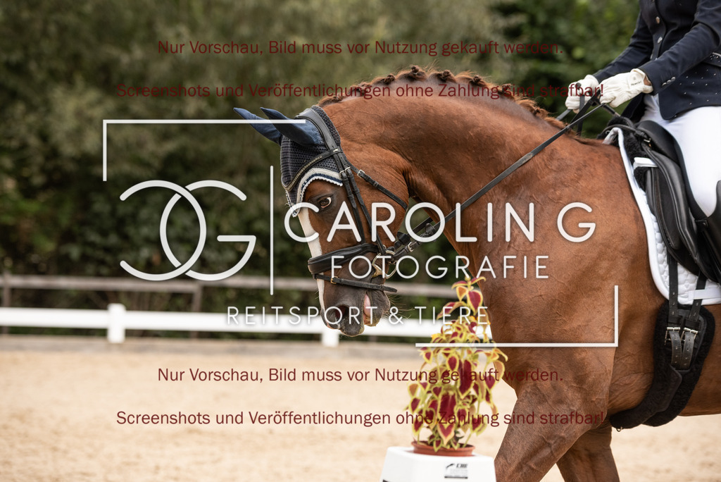 DSC_6111 | Turnierfotografin Carolin Gieschke, Turnierfotografie Carolin G Fotografie, Turnierfotos Kirchheim/Teck, Esslingen, Stuttgart, Bodenseekreis
