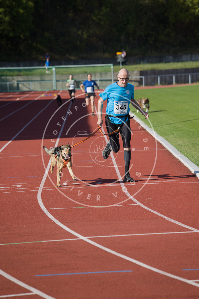 0L8A9237 | Hundefotografie, Tierfotograf, Pfotenfotografie, Fotoshooting Hund, Hunde Portrait, Hundesport, Hundeportraits, Heideshooting, Hunde, Sportfotograf, Hundefotograf, Turnierhundsport, THS,  - Realisiert mit Pictrs.com