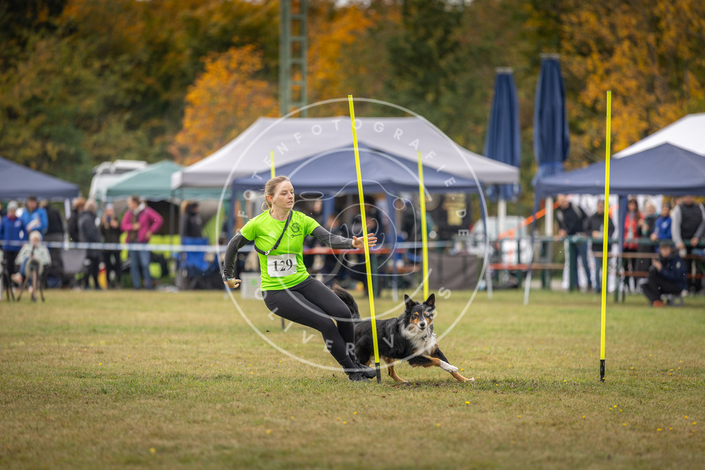 Pfotenfotografie_DV3A6853 | Hundefotografie, Tierfotograf, Pfotenfotografie, Fotoshooting Hund, Hunde Portrait, Hundesport, Hundeportraits, Heideshooting, Hunde, Sportfotograf, Hundefotograf, Turnierhundsport, THS,  - Realisiert mit Pictrs.com