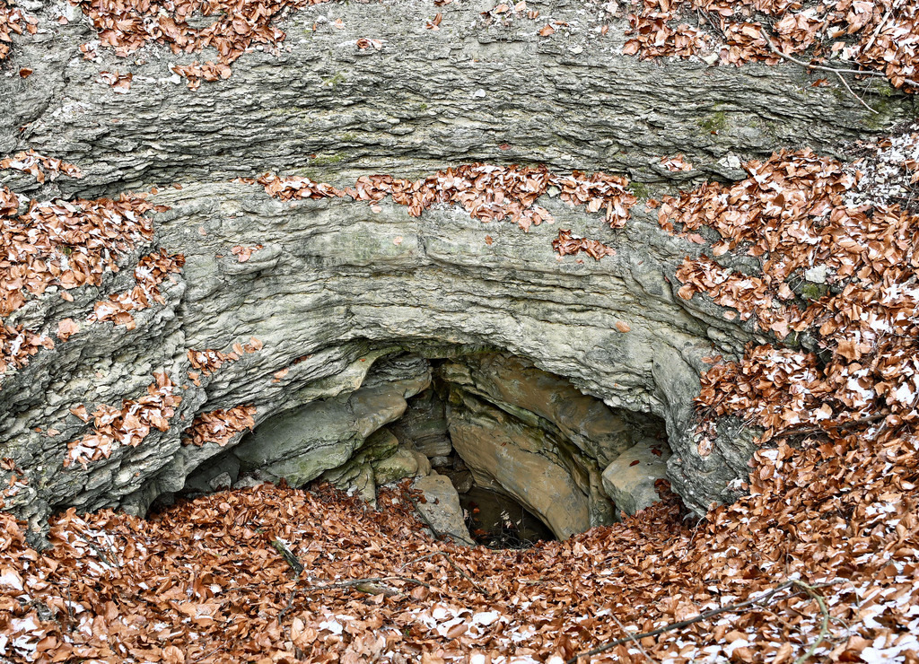 Nikon-Utendorf260105-armloch01 | lucisnaturbilder - Realisiert mit Pictrs.com