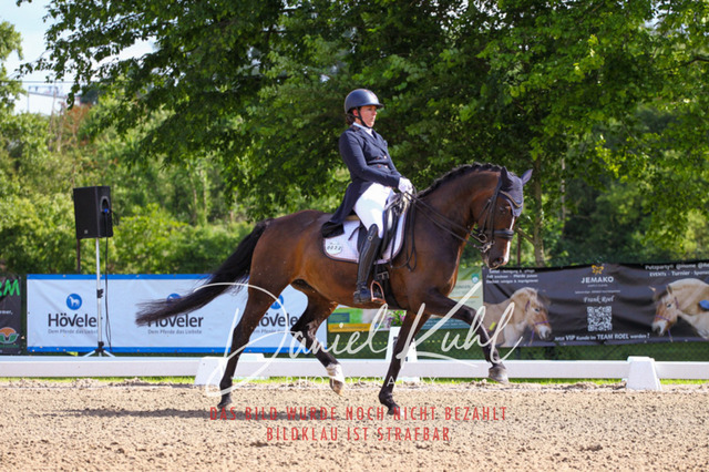 DKP41352 | Turnierfotos kaufen im Webshop von Daniel Kuhl Photography – entdecke professionelle Reitsportfotos aus Turnieren & Events. Hochwertige Turnierbilder online bestellen & sichern. Jetzt Fotos von Reitsportturnieren kaufen!
