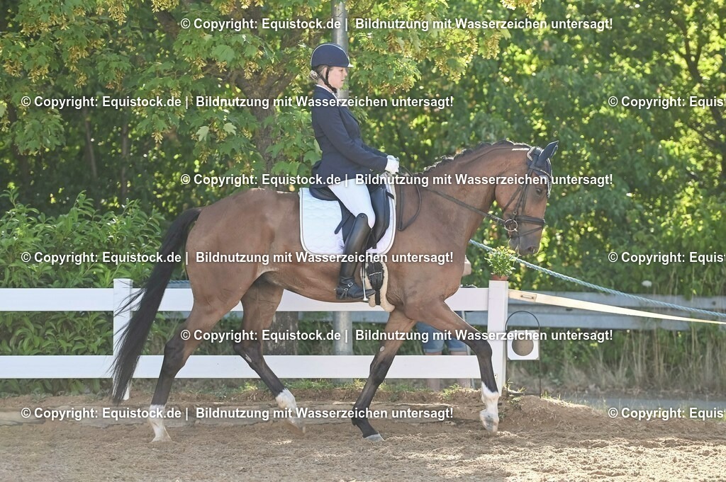 20230715_06_Dressurpferdeprfg. Kl.A_0195 | equistock