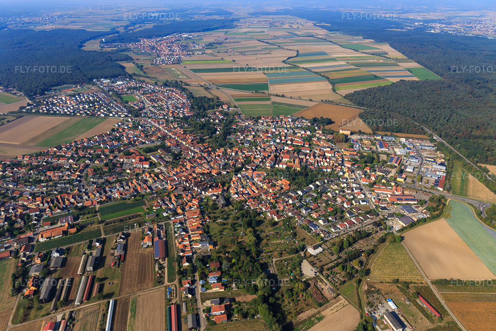 Luftbild: Ortsübersicht von Osten in Rheinzabern im Bundesland Rheinland-Pfalz in Deutschland. Foto: IMG_094885.jpg vom 24.09.2016 durch Werner Riehm/FLY-FOTO.de