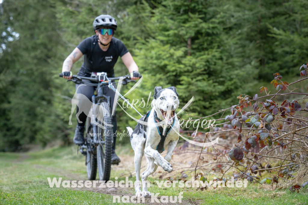 1311_ZZ93953 | kk-dogfotos