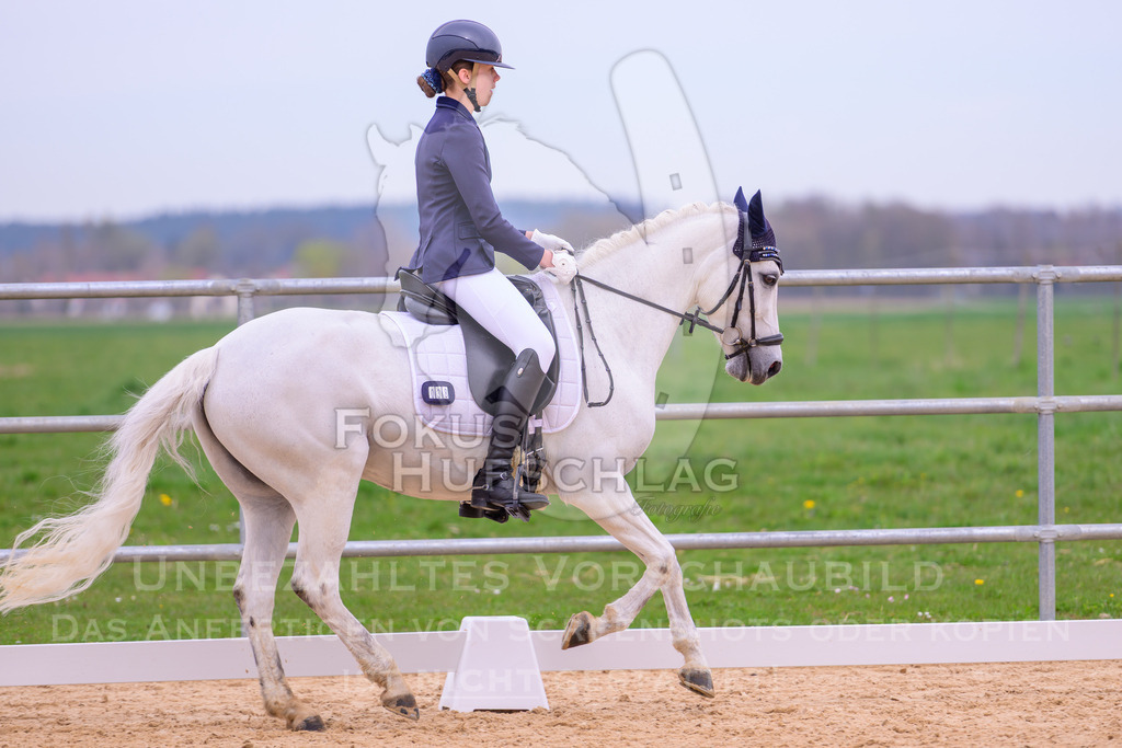09042026-Mammendorf-Prfg07-0156 | Fokus Hufschlag Fotografie - Realisiert mit Pictrs.com