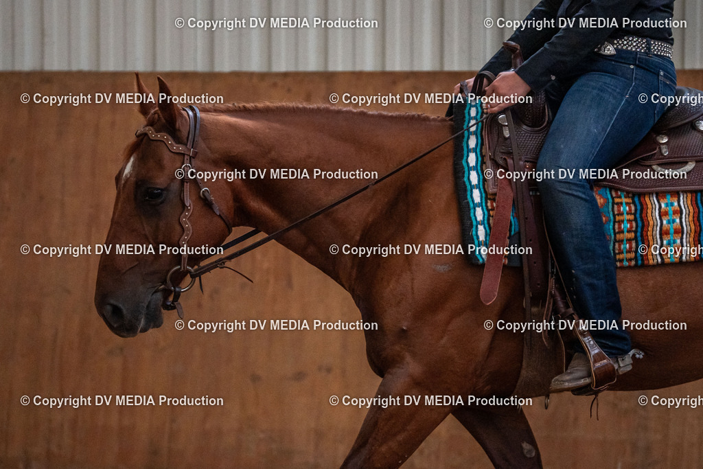 Neckargemünd Tag 1-426 | dv-media-shop - Realisiert mit Pictrs.com