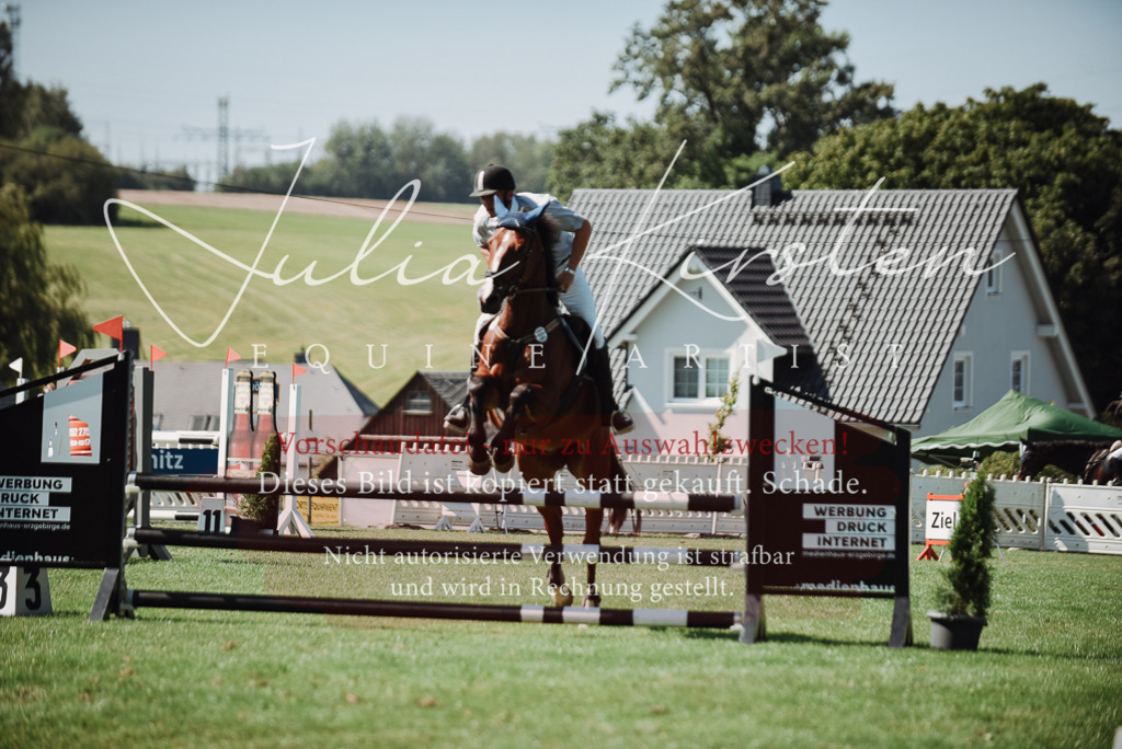 DSC_3286 | Pferde- und Turnierfotografie in Westsachsen. Pferdeportraits, Auftragszeichnungen und intuitive Kunst.