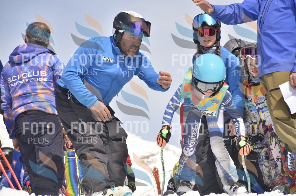 _ELE8514 | holidayphoto