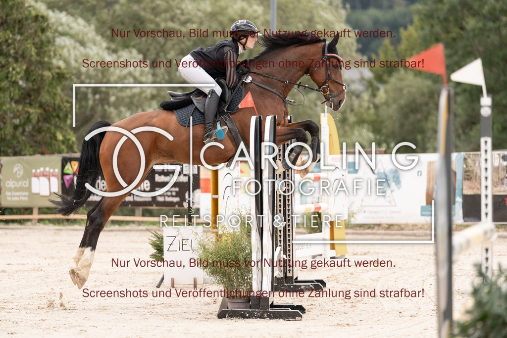 DSC06429 | Springturnier_Teamchallege_Talheim_2026, Lara-Sophie_Strohm, Champ_Charming