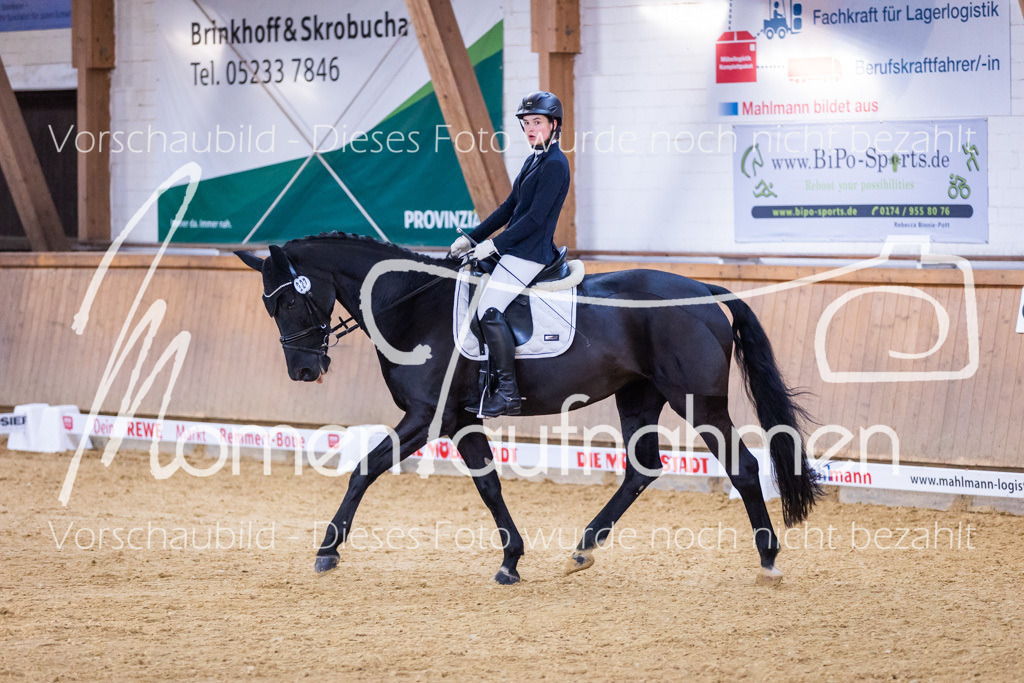 Sth-A-Dre-1St-233 | MomenTaufnahmen Pferdesportfotos