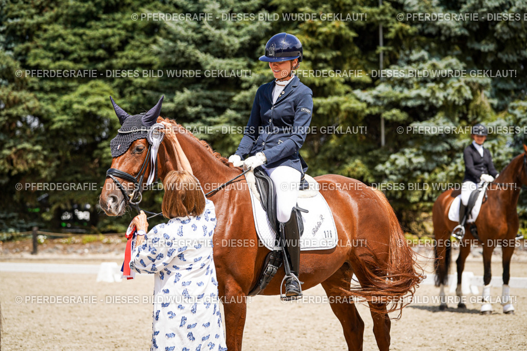 DSC01741 | Pferdegrafie