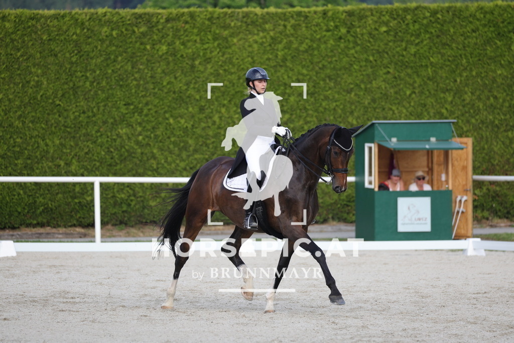 0P6A4296 | Willkommen bei Brunnmayr - Design & Fotografie – Ihrem Spezialisten für Reitturniere und Pferdeveranstaltungen in Oberösterreich, Salzburg und Bayern! Seit über 17 Jahren sind wir leidenschaftlich dabei.
