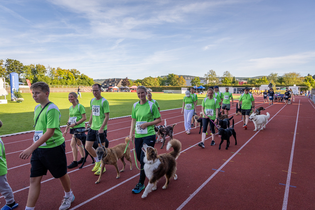Pfotenfotografie_DV3A4221-2 | Hundefotografie, Tierfotograf, Pfotenfotografie, Fotoshooting Hund, Hunde Portrait, Hundesport, Hundeportraits, Heideshooting, Hunde, Sportfotograf, Hundefotograf, Turnierhundsport, THS,  - Realisiert mit Pictrs.com