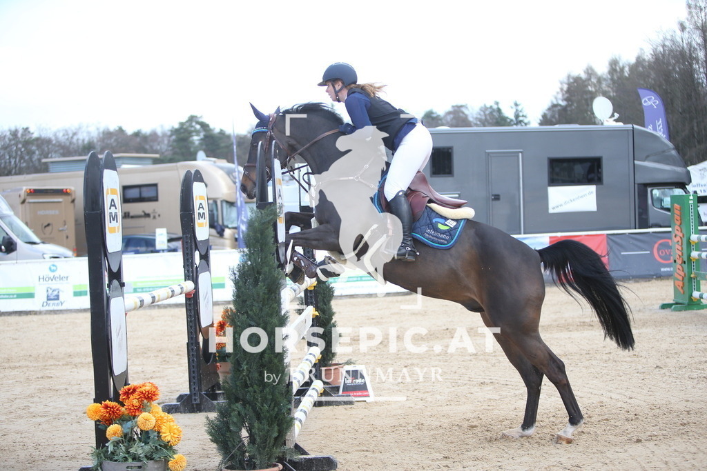 AS8V7897 | Willkommen bei Brunnmayr - Design & Fotografie – Ihrem Spezialisten für Reitturniere und Pferdeveranstaltungen in Oberösterreich, Salzburg und Bayern! Seit über 17 Jahren sind wir leidenschaftlich dabei.