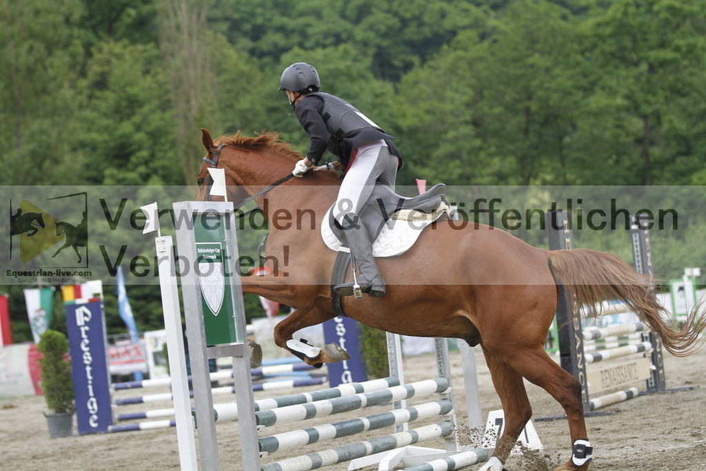 _MG_4435 | equestrian-live-com