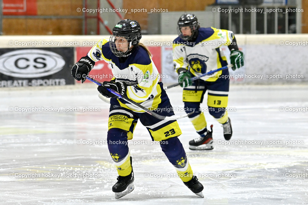 Wildcats Paternion vs. Lady Hawks  | #23 Stuppnig Iris WILDCATS PATERNION, Wildcats Paternion vs. Lady Hawks , Wildcats Paternion vs. Lady Hawks  am 27.01.2025 in Spittal an der Drau (Eissportzentrum Spittal), Austria, (Photo by Bernd Stefan)