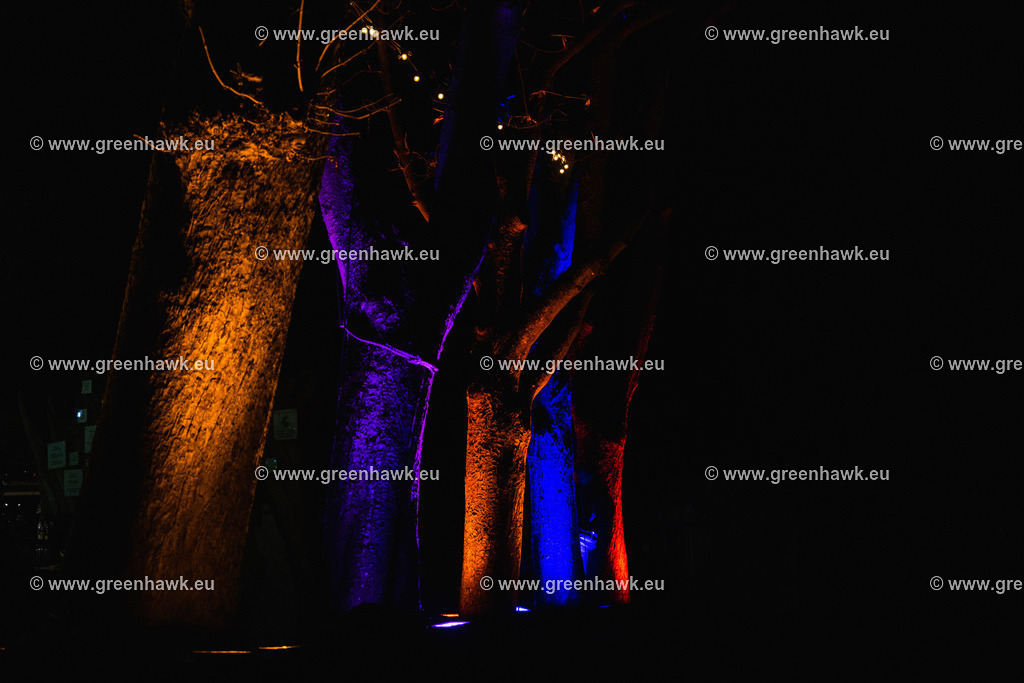 _MG_0238 | Greenhawks Bilder Shop für Landschaften, Urban, Tiere und weiteres als Poster Leinwand oder Fotogeschenk für Ostern Weihnachten oder Geburtstag  - Realisiert mit Pictrs.com