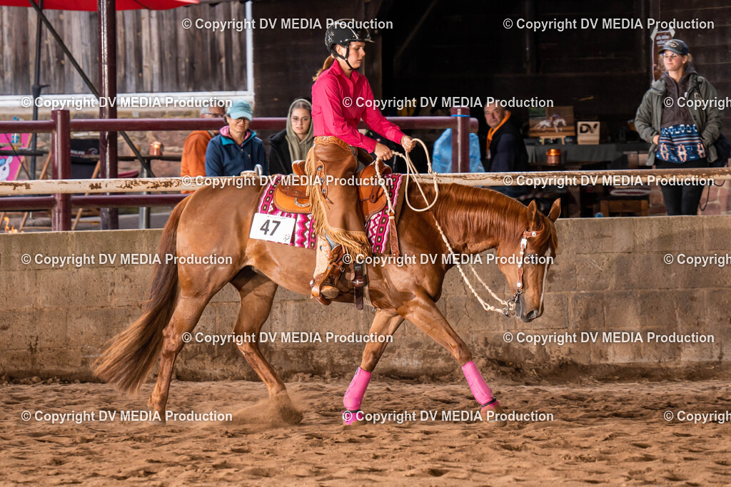 Erbach Tag 1-1102 | dv-media-shop - Realisiert mit Pictrs.com