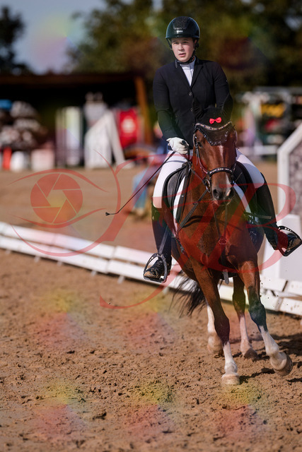 2026_10_03_Siefer-Hof_115808_Z81_00432184 | Professionelle Reitsport-, Turnier- und Eventfotografie von Robert Broda. Galerien mit ausgewählten und bearbeiteten Bildern direkt online ansehen und bestellen.