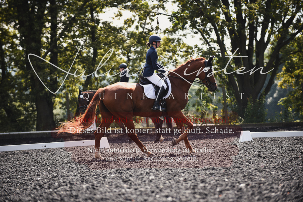 DSC_4112 | Pferde- und Turnierfotografie in Westsachsen. Pferdeportraits, Auftragszeichnungen und intuitive Kunst.