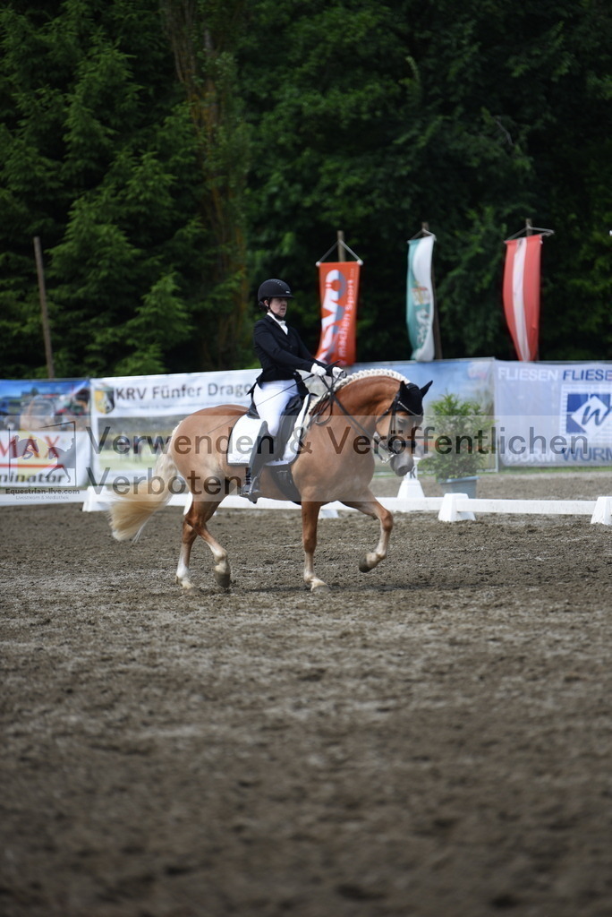 DSC_0577 | equestrian-live-com