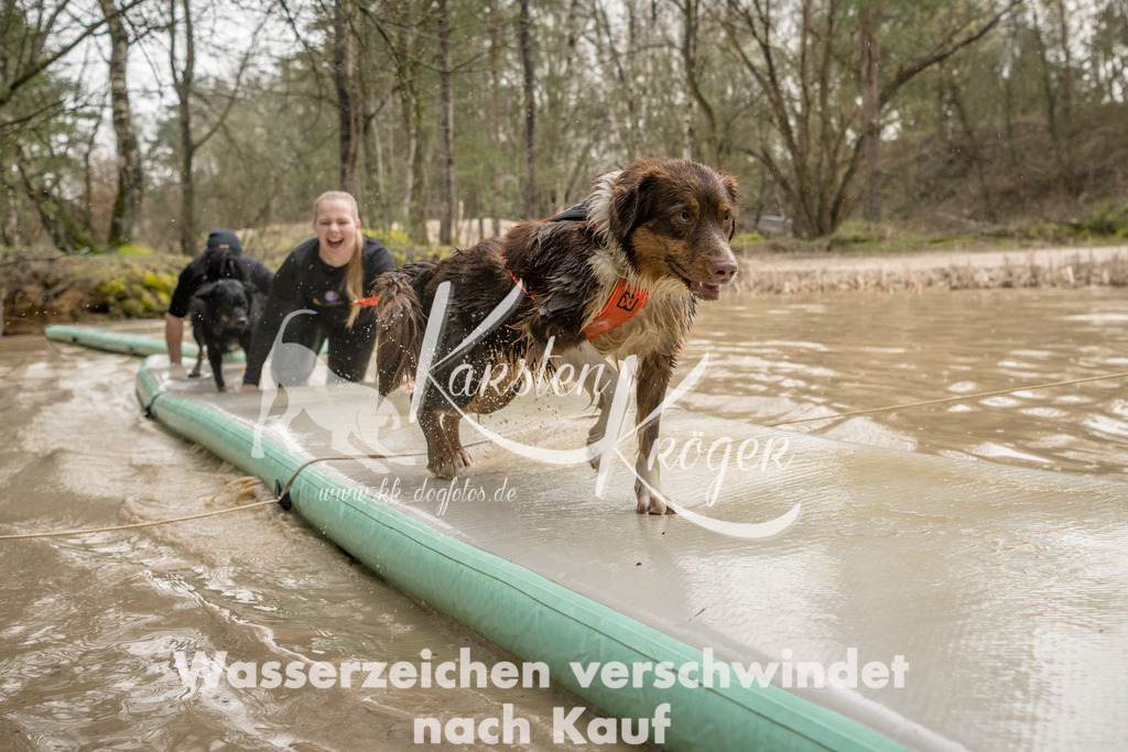 1340_ZZ90394 | kk-dogfotos