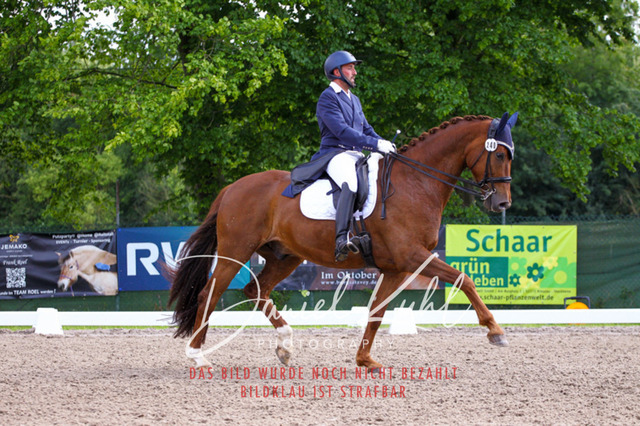 DKP41482 | Turnierfotos kaufen im Webshop von Daniel Kuhl Photography – entdecke professionelle Reitsportfotos aus Turnieren & Events. Hochwertige Turnierbilder online bestellen & sichern. Jetzt Fotos von Reitsportturnieren kaufen!