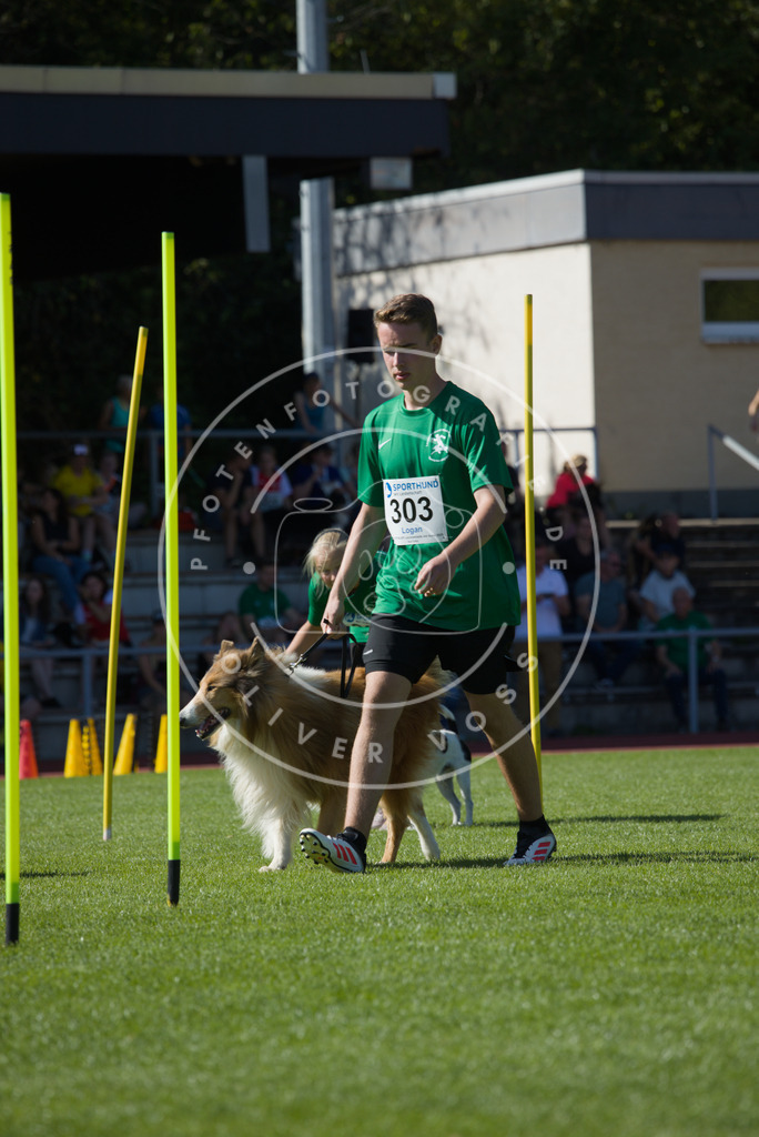 0L8A7308 | Hundefotografie, Tierfotograf, Pfotenfotografie, Fotoshooting Hund, Hunde Portrait, Hundesport, Hundeportraits, Heideshooting, Hunde, Sportfotograf, Hundefotograf, Turnierhundsport, THS,  - Realisiert mit Pictrs.com